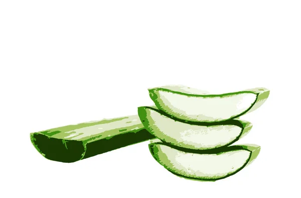 Una Ilustración Digital Rebanadas Aloe Vera Sobre Fondo Blanco —  Fotos de Stock