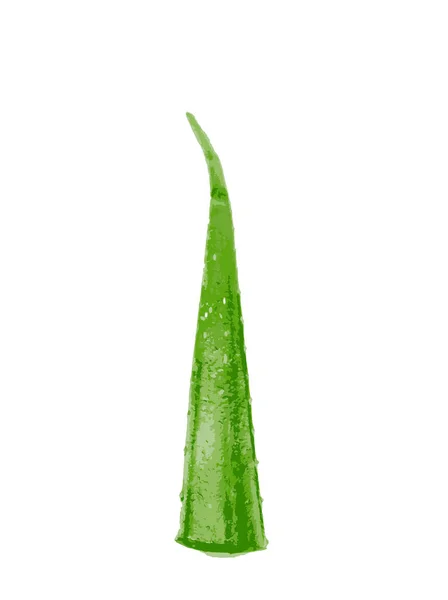 Uma Ilustração Digital Aloe Vera Isolado Fundo Branco — Fotografia de Stock