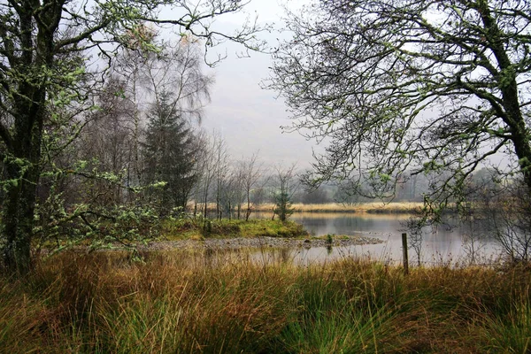 Esta Lagoa Emoldurada Por Árvores Cobertas Líquen Era Lugar Convidativo — Fotografia de Stock