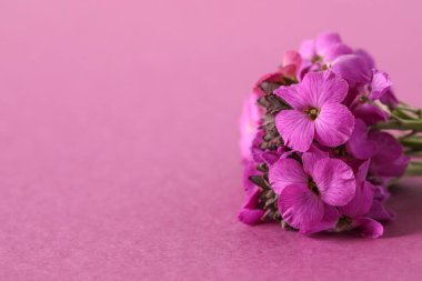 A closeup of a bouquet of purple wallflowers on a purple surface under the lights clipart