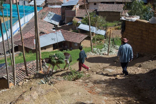 田舎のロバと一緒に丘を歩いている農民たち — ストック写真