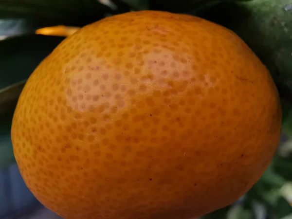 Eine Nahaufnahme Einer Frischen Und Köstlichen Mandarine — Stockfoto