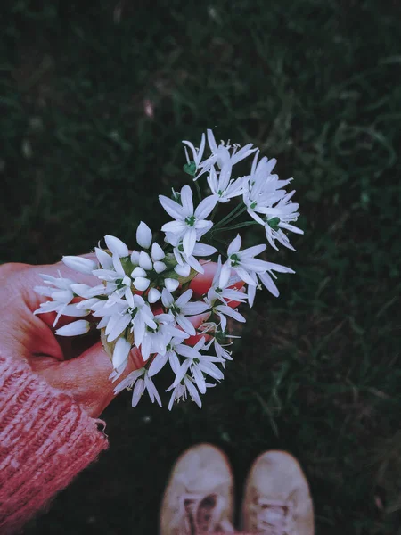 Primer Plano Mano Una Mujer Sosteniendo Flores Jazmín —  Fotos de Stock