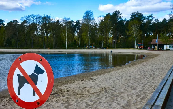 Een Prachtig Uitzicht Een Rustig Meer Zonder Honden Toegestaan Bord — Stockfoto