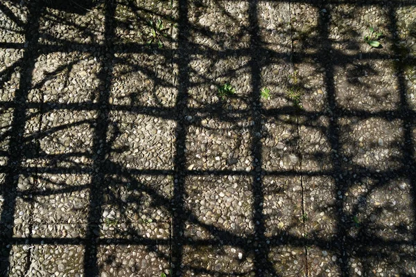 Shadow Fence Concrete Ground — Stock Photo, Image