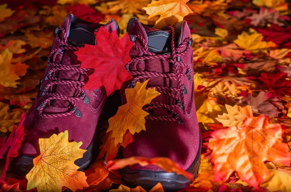 Closeup Shot Purple Boots Surrounded Colourful Leaves — Stock Photo, Image