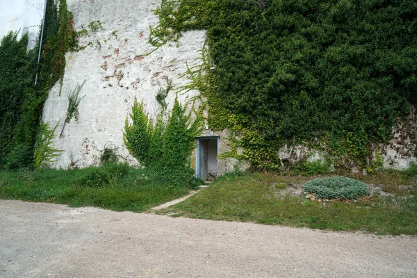Дверь Большой Каменной Стене Заросшей Растениями — стоковое фото