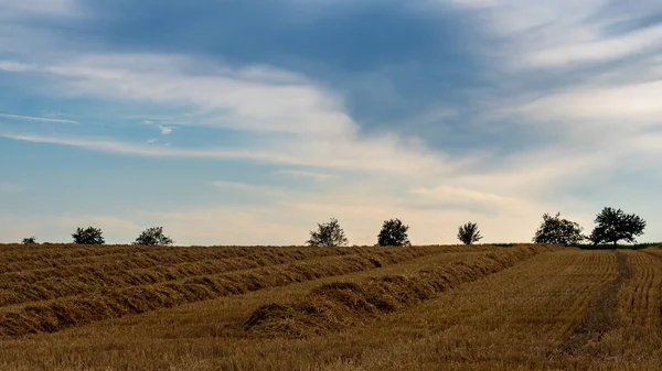 曇り空の下で干し草の田園風景の美しいショット — ストック写真