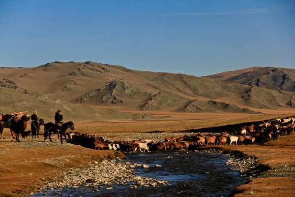Ulgii Mongolia Wrz 2019 Polowanie Orłem Jest Bardzo Stare Pokoleniowe — Zdjęcie stockowe