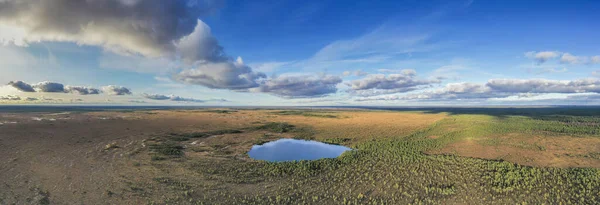 Tiro Panorâmico Campo Fascinante Crescimento Pequeno Lago — Fotografia de Stock