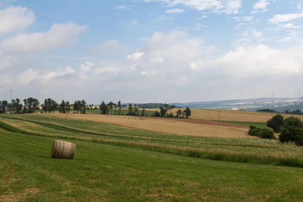 Rotolo Fieno Nel Campo Verde Una Zona Rurale — Foto Stock