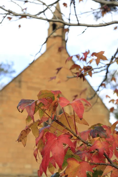 一座被秋天树木环绕的小礼拜堂的垂直截图 — 图库照片