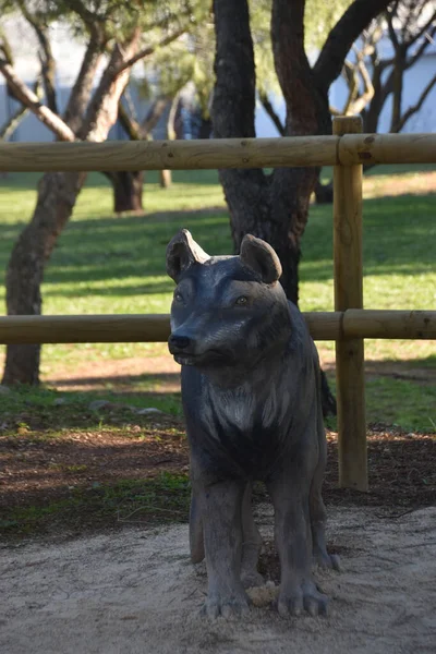 Figura Lobo Jardin Publico Para Amantes Los Animales — 图库照片