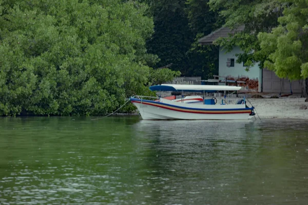 一条渔船在红树林附近的海面上漂浮的景象 — 图库照片