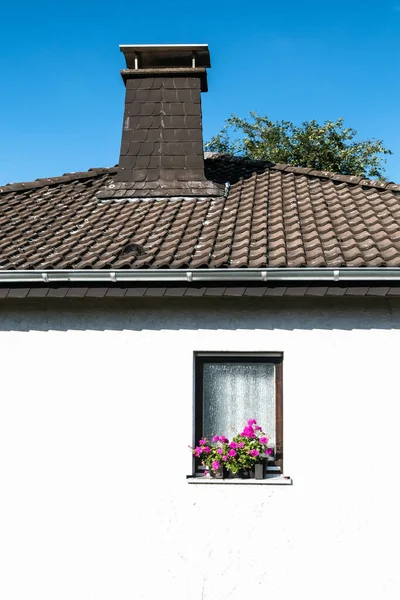 窗户上有花的建筑物屋顶的低角截图 — 图库照片