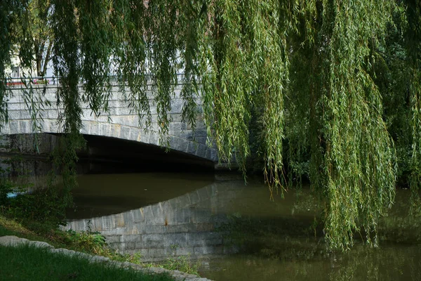 Eine Schöne Aufnahme Eines Flussbaches Der Unter Der Brücke Vorbeifließt — Stockfoto