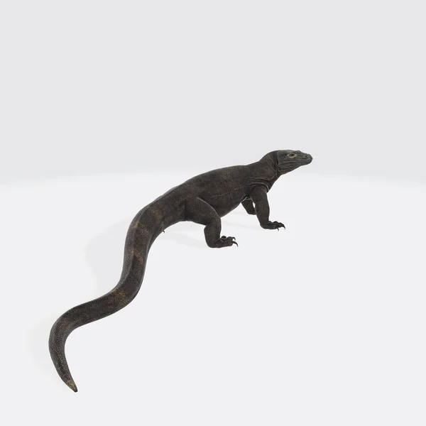 Μια Τρισδιάστατη Απεικόνιση Ενός Δράκου Komodo Που Απομονώνεται Λευκό Φόντο — Φωτογραφία Αρχείου