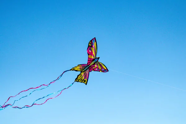 蝶の形をしたカラフルな凧の低角度ショット — ストック写真