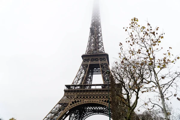 Paris Teki Eyfel Kulesi Nin Yanındaki Ağaç Dallarının Beyaz Arka — Stok fotoğraf