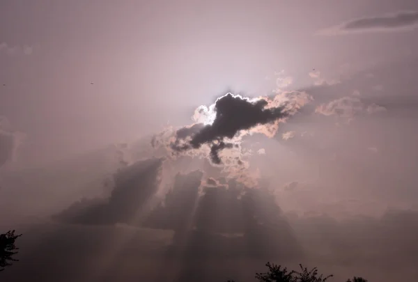 夕暮れ時の美しい空の低角度ショット — ストック写真