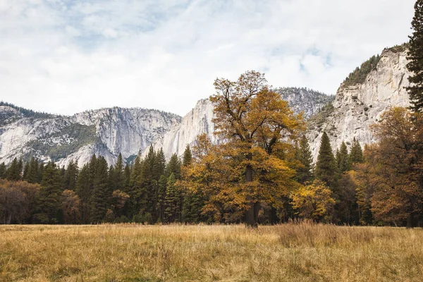 Stromy Hory Yosemitském Národním Parku Podzim — Stock fotografie