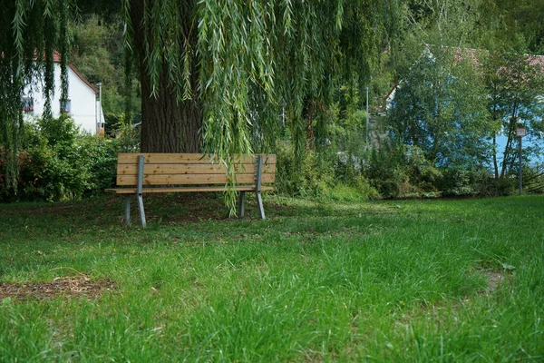 Wooden Bench Park Willow Tree — Stock Photo, Image