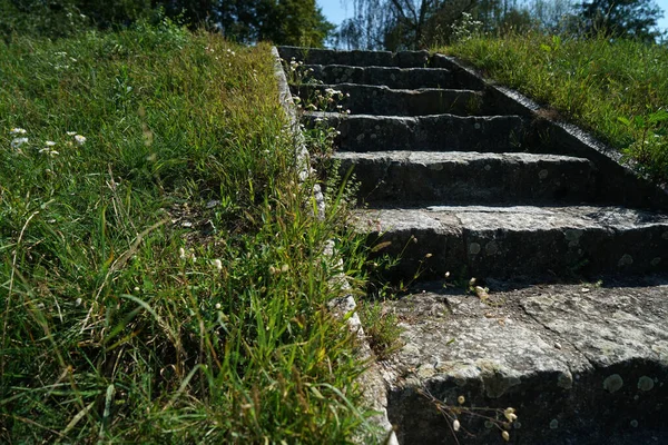 Uma Escada Pedra Parque Durante Dia — Fotografia de Stock