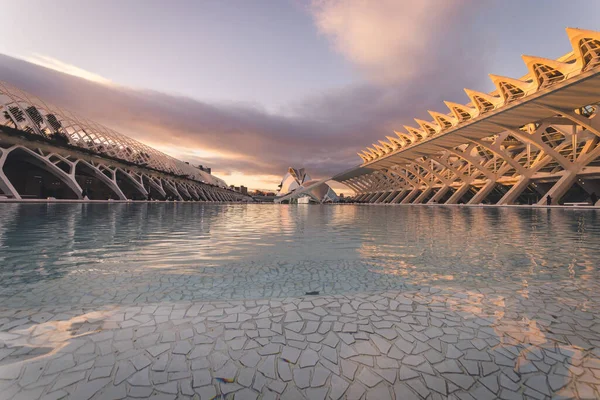 Valencia Spain Apr 2020 Museo Las Artes Las Ciencias — 스톡 사진