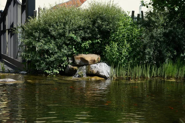 Der Fließende Fluss Umgeben Von Grün — Stockfoto