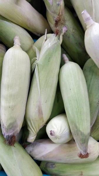 Vertical Shot Heap Corn — Stock Photo, Image