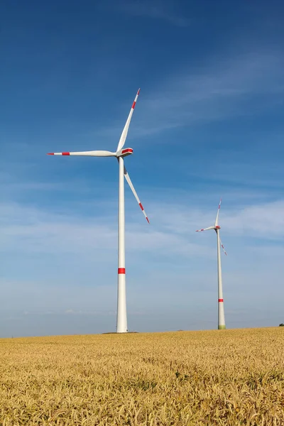 Vertical Shot Windmills Field Daytime — Stock Photo, Image