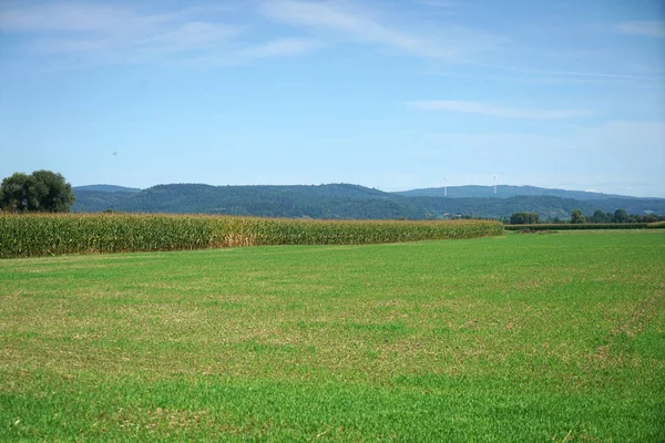 Ein Schöner Blick Auf Ein Feld Mit Viel Grün Tag — Stockfoto