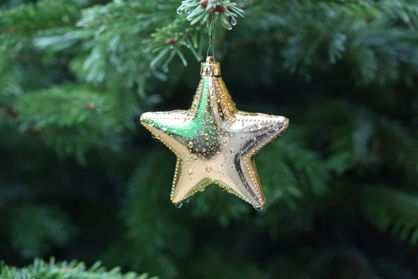 Zbliżenie Ujęcie Świątecznych Ornamentów Choince — Zdjęcie stockowe