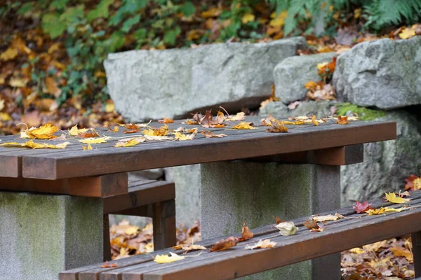 Eine Bank Mit Herbstbäumen Park — Stockfoto