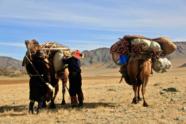 Ulgii Mongolia Setembro 2019 Caça Com Águia Uma Cultura Muito — Fotografia de Stock