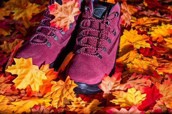 Een Close Van Paarse Laarzen Omringd Door Kleurrijke Bladeren — Stockfoto