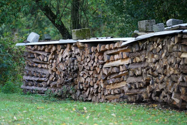 木立に囲まれた公園内の薪の山 — ストック写真
