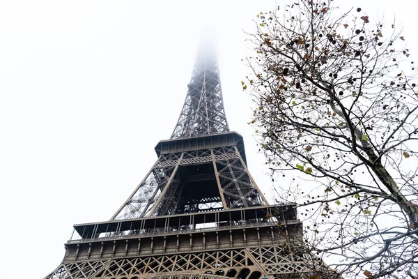 Plano Ángulo Bajo Ramas Árboles Junto Torre Eiffel París Aisladas — Foto de Stock