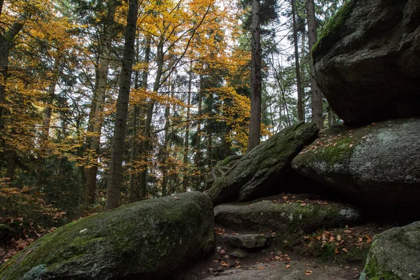 Primer Plano Árboles Rocas Laberinto Roca Luisenburg Wunsiedel Alemania — Foto de Stock