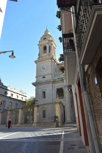 Een Verticale Opname Van Cattedrale Pamplona Spanje — Stockfoto