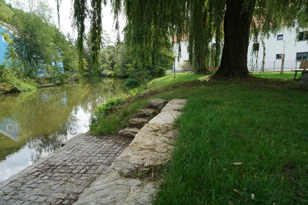 Egy Park Fűzfákkal Patak Mellett — Stock Fotó