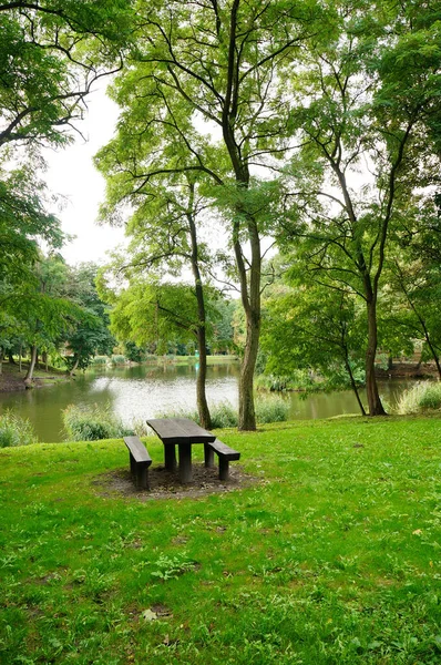 Ein Schöner Grüner Park Der Nähe Des Sees Mit Einer — Stockfoto