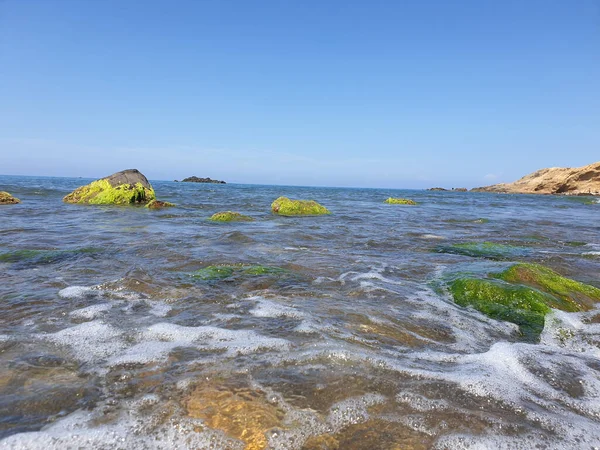 Colpo Basso Angolo Una Spiaggia Con Rocce Alghe Sulla Riva — Foto Stock