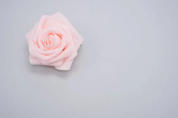 Close Uma Única Rosa Rosa Isolada Fundo Azul Com Espaço — Fotografia de Stock