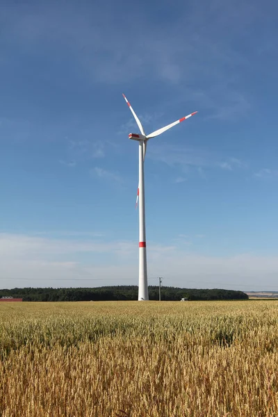 Vacker Bild Gräsmark Med Ett Vindkraftverk Solljuset — Stockfoto