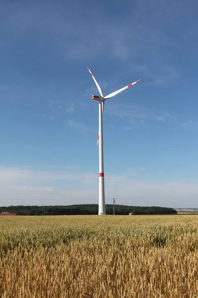 Vakkert Skudd Fra Gressland Med Vindturbin Sollyset – stockfoto