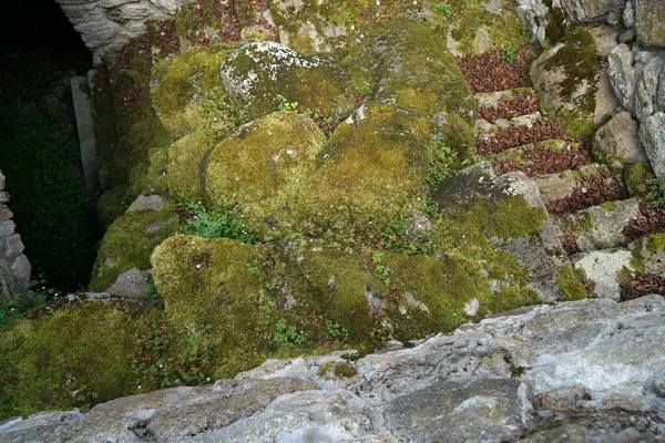 Yosun Kaplı Merdiven Taşlardan Oluşan Yakın Çekim — Stok fotoğraf