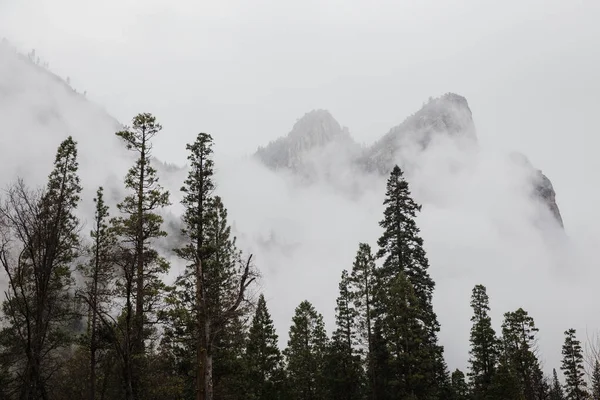 Les Arbres Les Montagnes Parc National Yosemite Par Une Journée — Photo