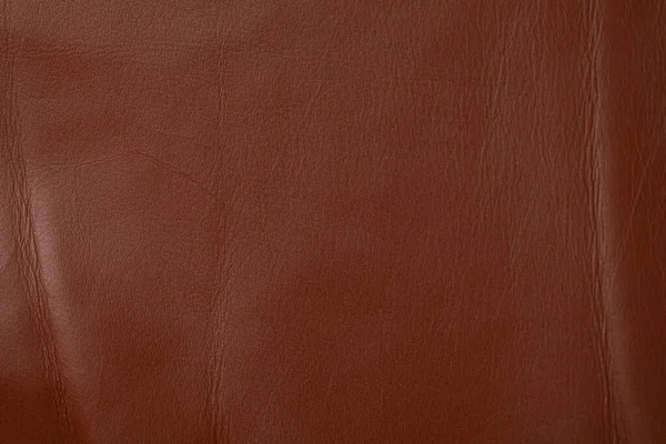 Closeup Shot Leather Texture — Stock Photo, Image