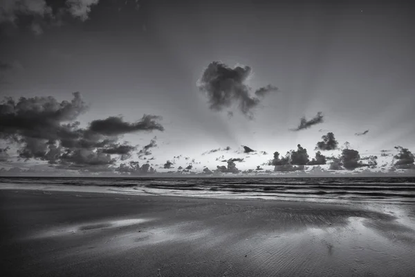 Plano Escala Grises Playa Las Nubes Esponjosas Cielo Atardecer — Foto de Stock